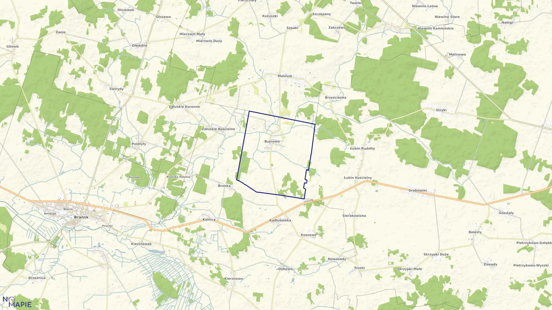 Mapa obrębu BUJNOWO w gminie Wyszki